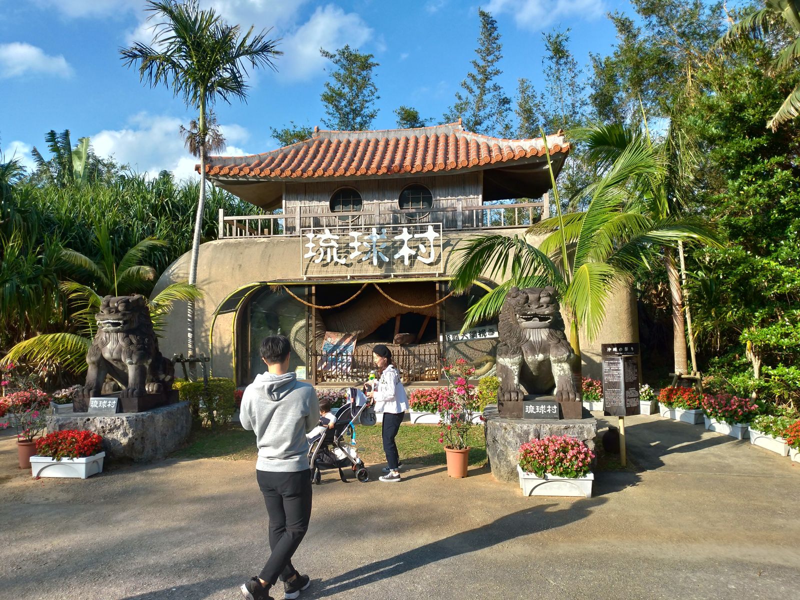 P_20190125_155001_vHDR_Auto_HP