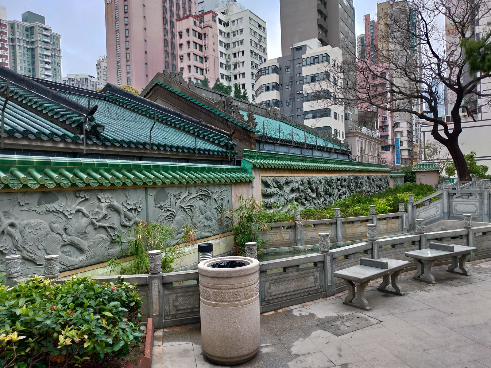 P_20190222_084335_vHDR_Auto_HP
