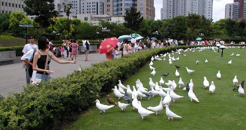 上海人民公園