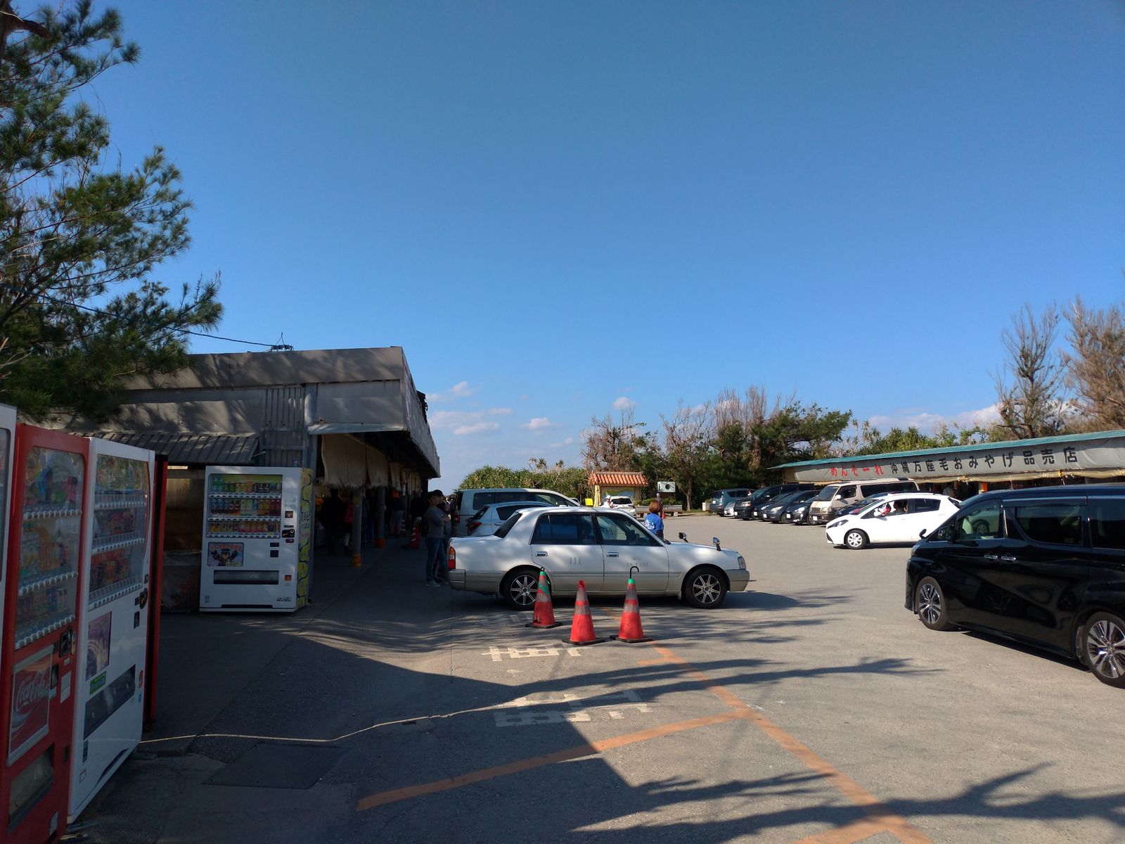 P_20190125_150500_vHDR_Auto