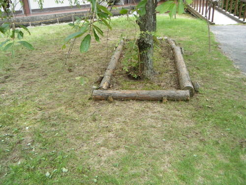 DSCF0689