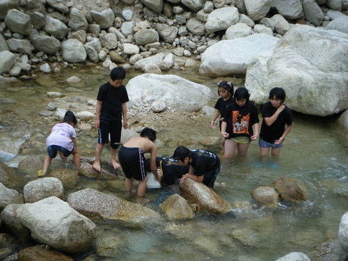 DSCF0707