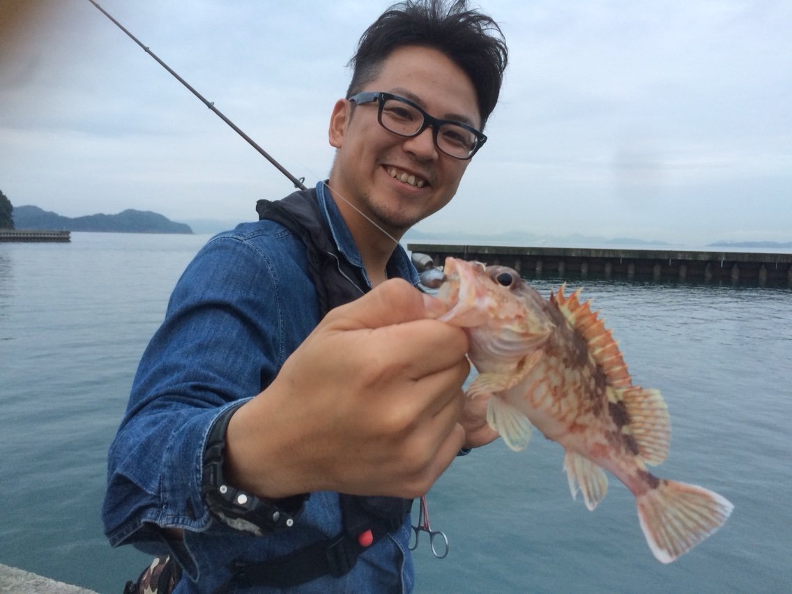 瀬戸内アコウ ゆーすけが行く