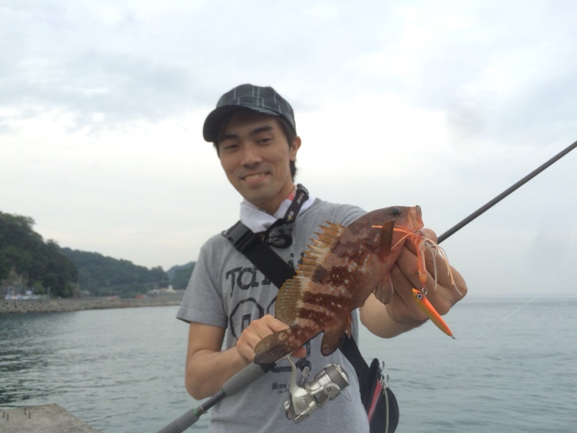 瀬戸内アコウのデイゲーム ゆーすけが行く