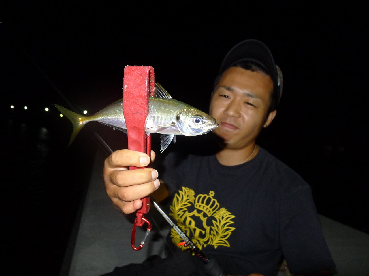 真夏の金太郎あめ的アジング ゆーすけが行く