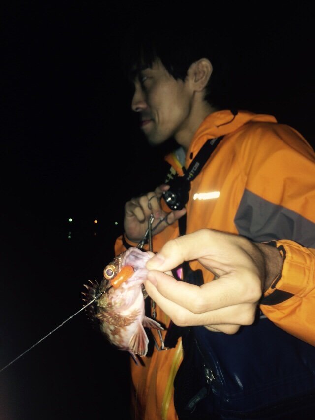瀬戸内アコウ ゆーすけが行く