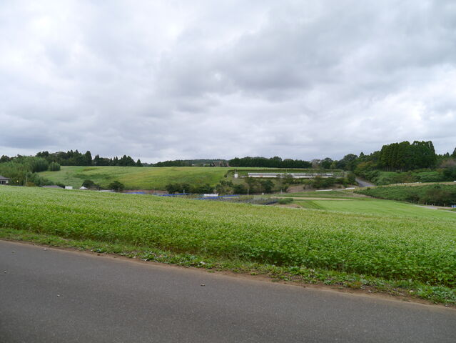 P1000018