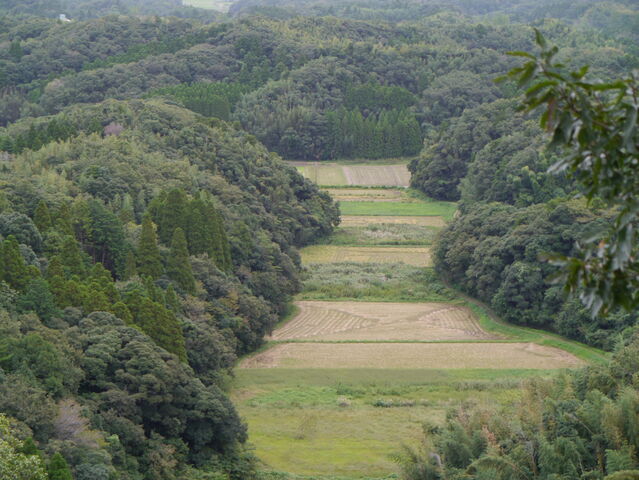 P1000028