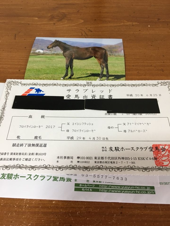 新規出資 いつでも友駿ホースクラブ