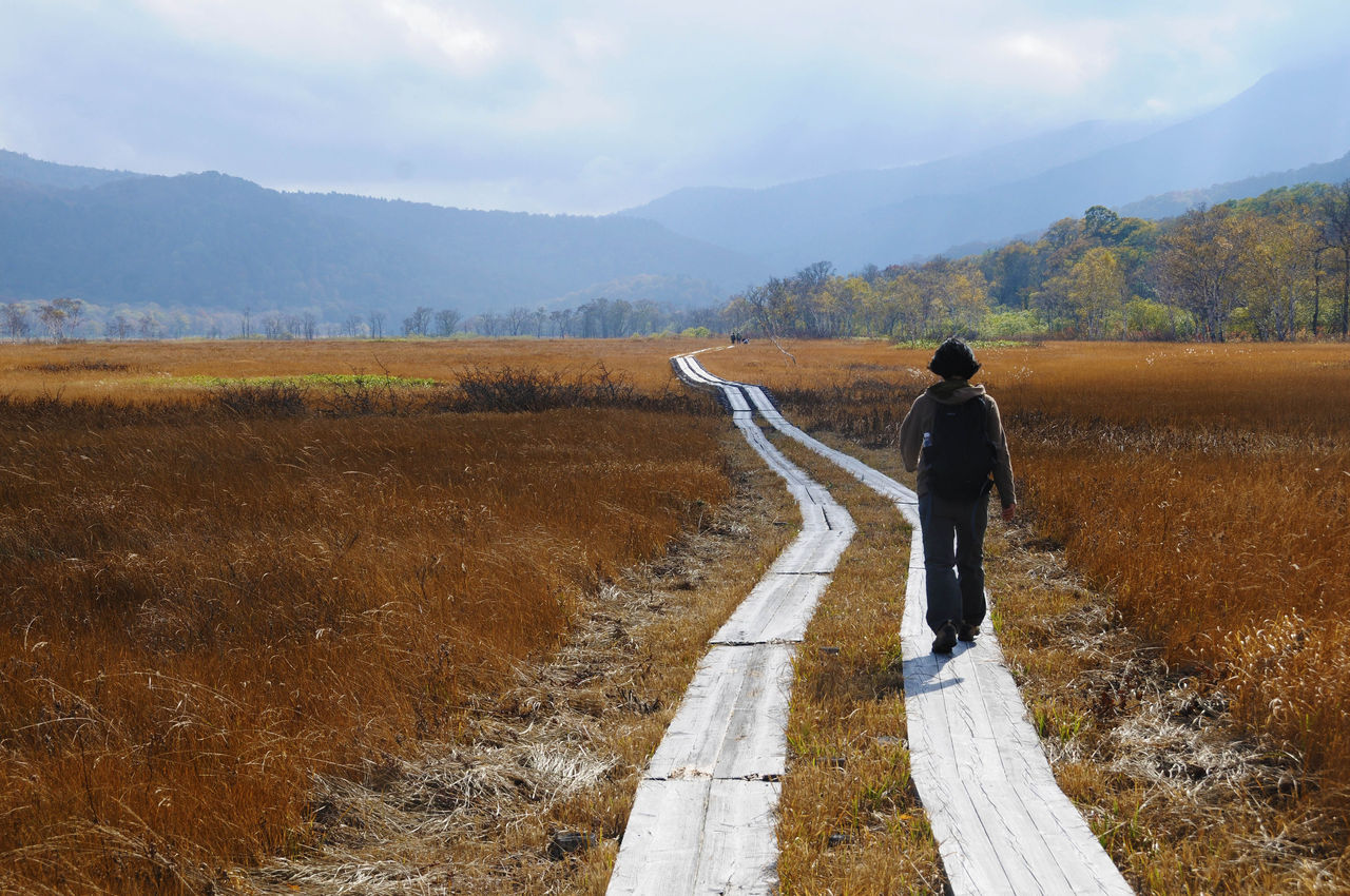 今日は尾瀬ヶ原 もくもく日記