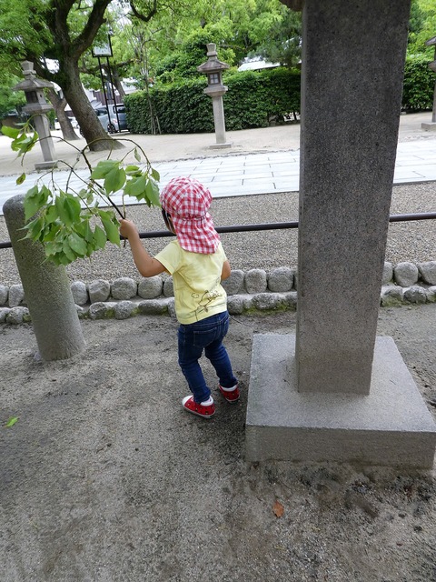 P1030386