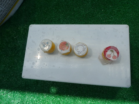 P1040440