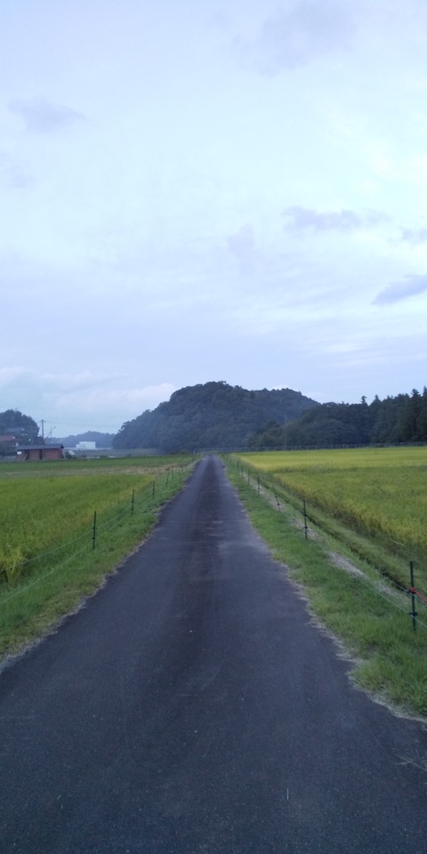 6431FD85-C2F3-4F81-9A19-CEFC9FEF278F