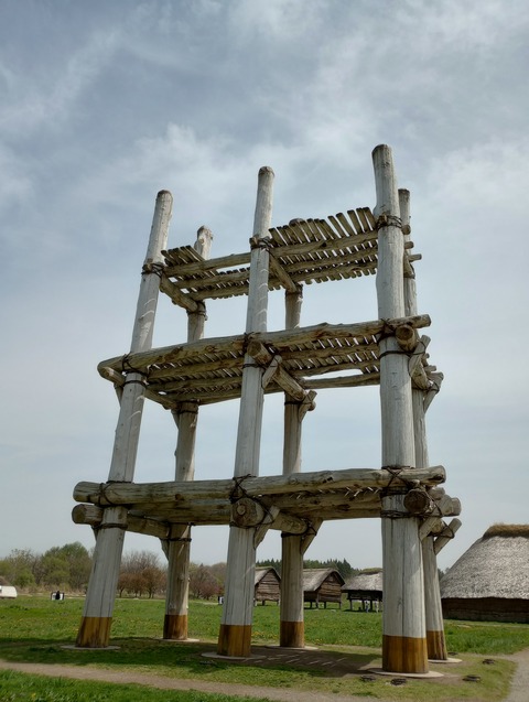 IMG_20240427_124034048_HDR