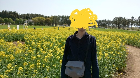 菜の花