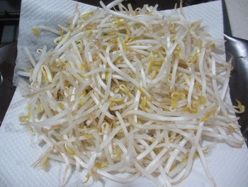 IMG_6727のコピー