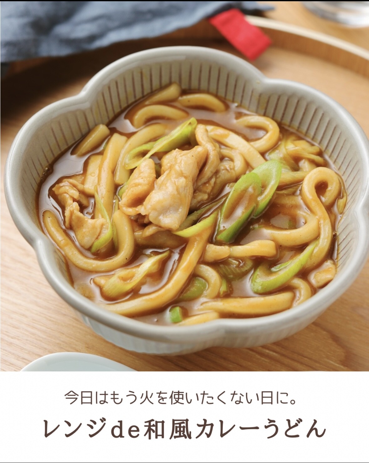 【オーダー用】リニューアル版暖簾と麺類丼セット カッティングダイお雑煮そばうどん どんぶり 約890ml WAYOWAN [どんぶり 麺鉢 食洗機対応 電子