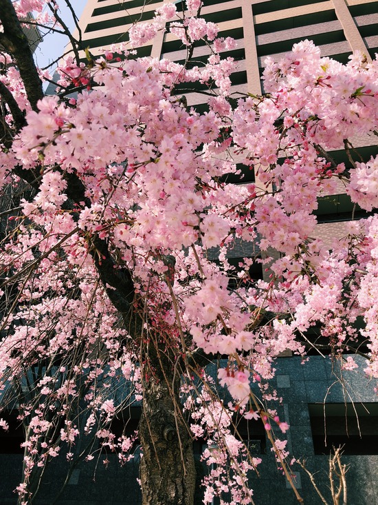 370F05A7-64CB-4026-BF7D-5A132EE5B6FB