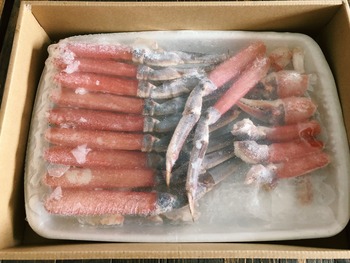 FE5EA0BD-23E9-403B-AC84-4099CC7AD0E8