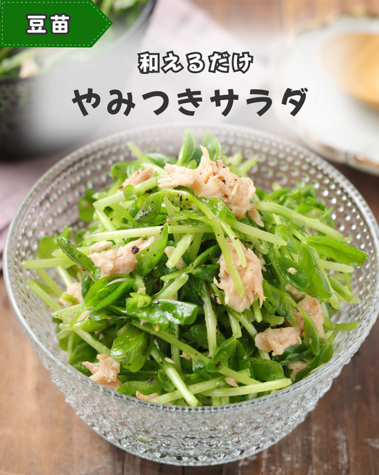 豆苗サラダ