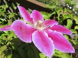 2019_05230004