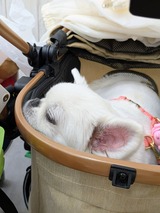 PXL_20250823_063215828~2