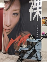 PXL_20220607_031904677