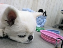 PXL_20250823_072636334~2