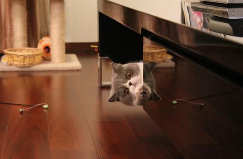 i_see_you_640_32