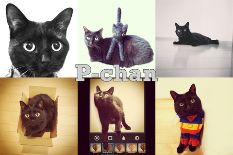 enhanced-buzz-wide-20684-1359137421-6