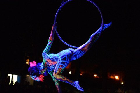 world-bodypainting-festival-2012-06