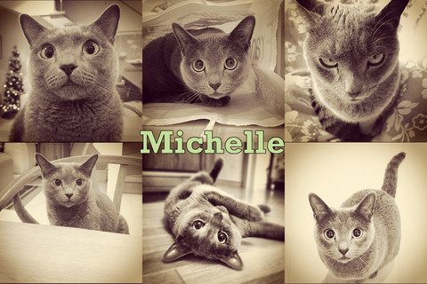 enhanced-buzz-wide-18291-1359134844-5