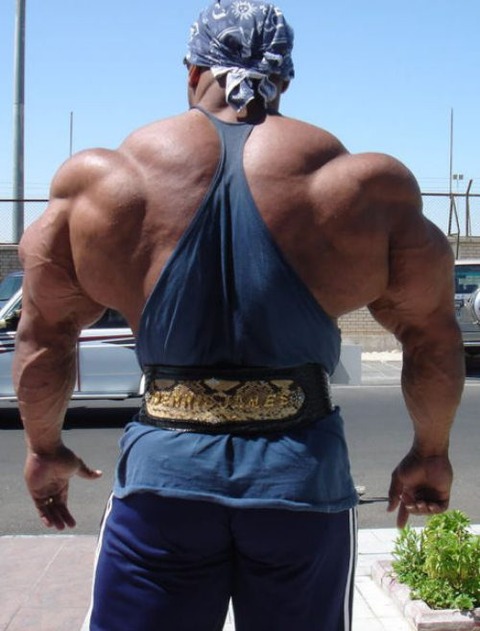 roided-out-bodybuilders-4