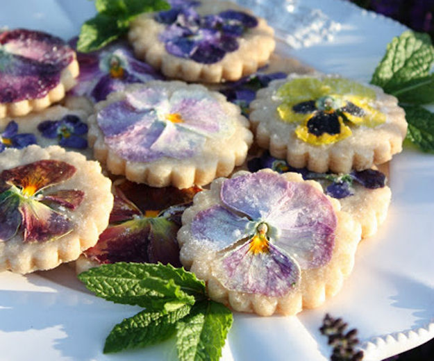 そのお花 食べられます リトルトリップ