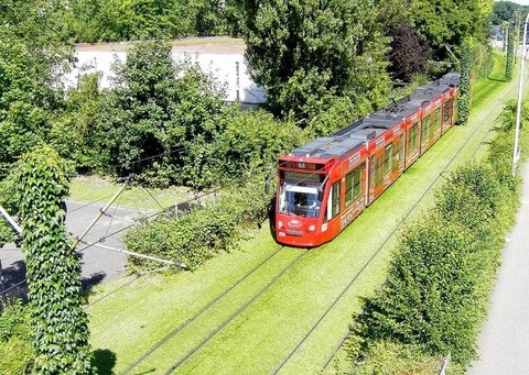 greentramway05