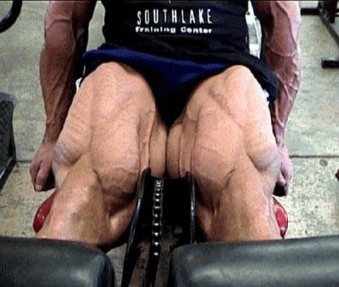 roided-out-bodybuilders-2