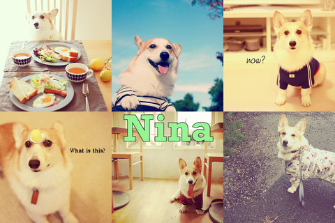 enhanced-buzz-wide-8973-1359065942-14