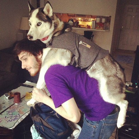 awesome-derpy-adorable-dogs-391