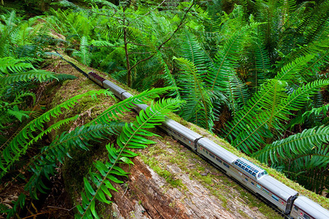 model-train-travels-across-canada-jeff-friesen-5