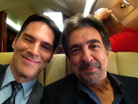 577504_472788202774991_266604235_n