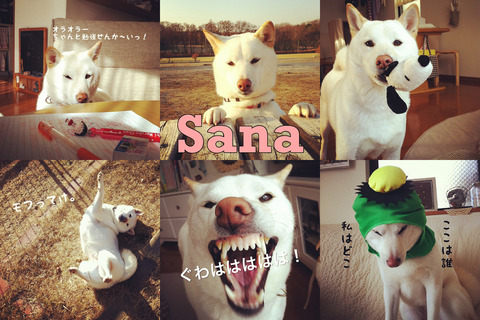 enhanced-buzz-wide-1206-1359053802-10