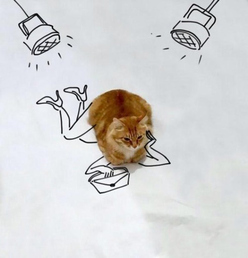11