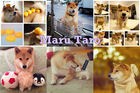 enhanced-buzz-wide-17371-1359062579-13