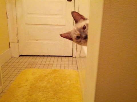 i_see_you_640_47