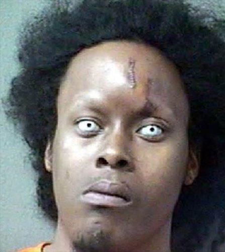 淡々と アメリカのマグショット25枚 リトルトリップ 淡々と アメリカのマグショット25枚 リトルトリップ
