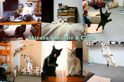 enhanced-buzz-wide-7669-1359064972-14