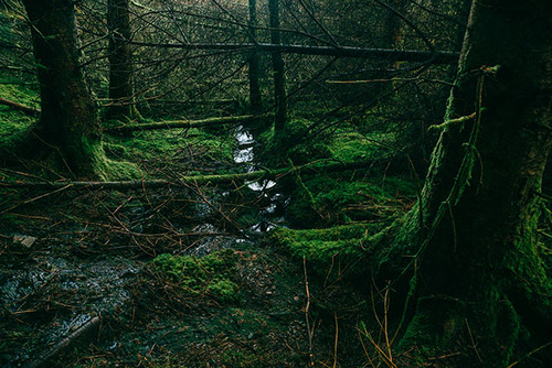 scotland_11