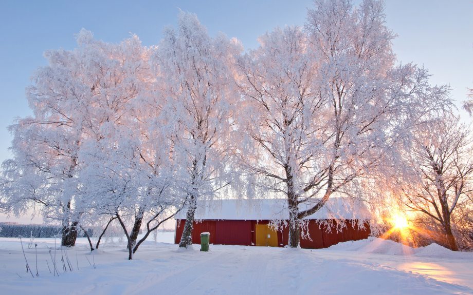 涙が出るほどきれいな冬景色 高画質 リトルトリップ