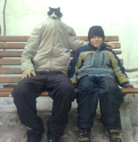 cat-saturday-144