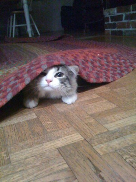 i_see_you_640_50